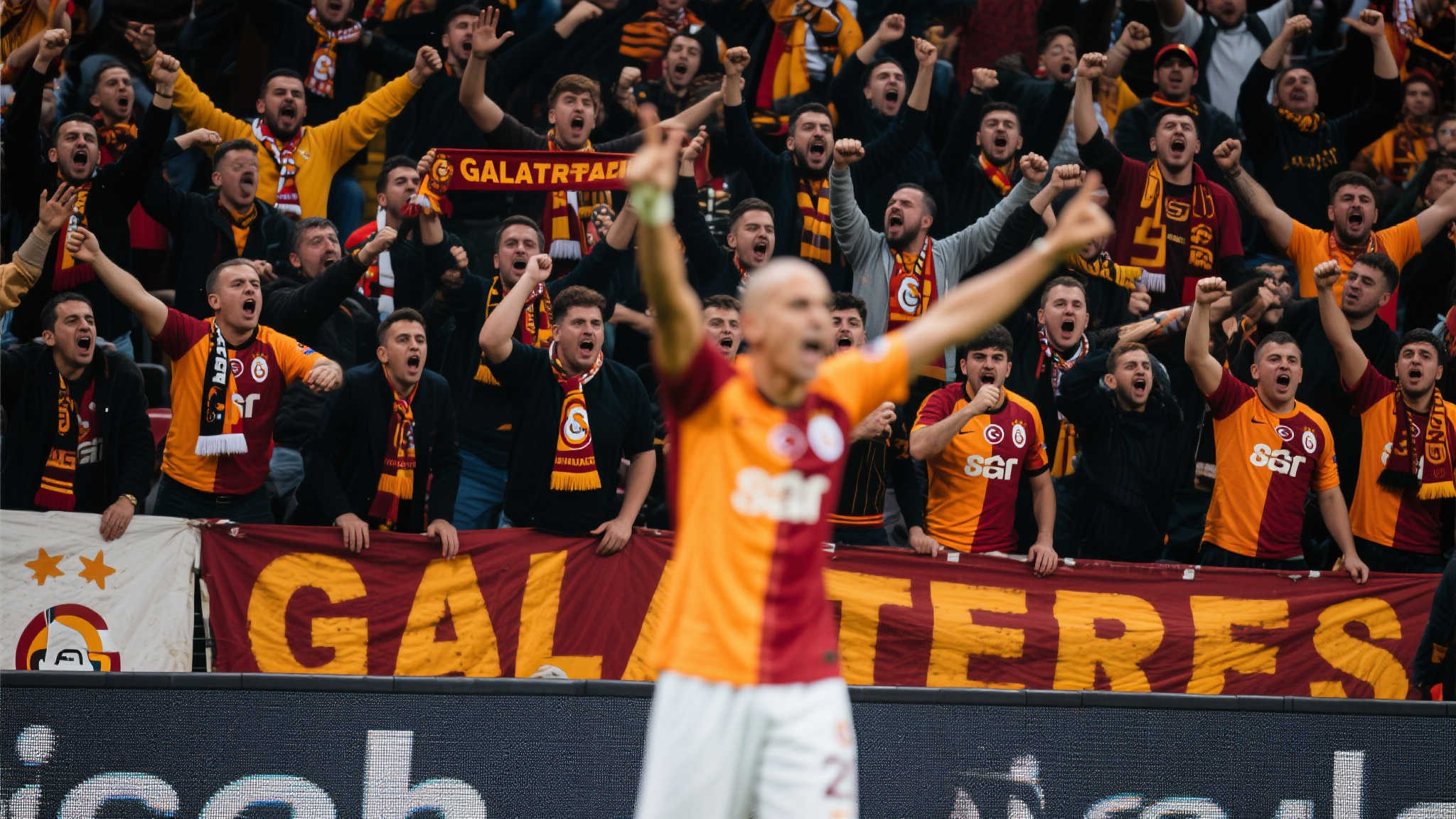 乐鱼体育概况简介